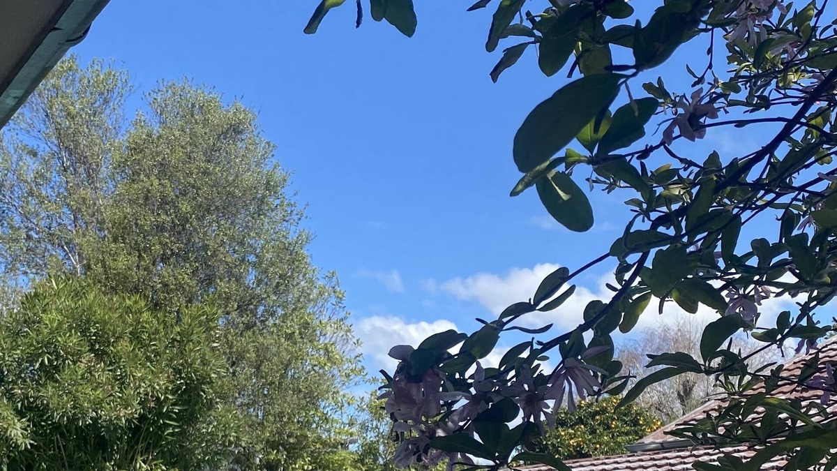 Havelock North House | Havelock Hideaway - A relaxing holiday home with a pool!