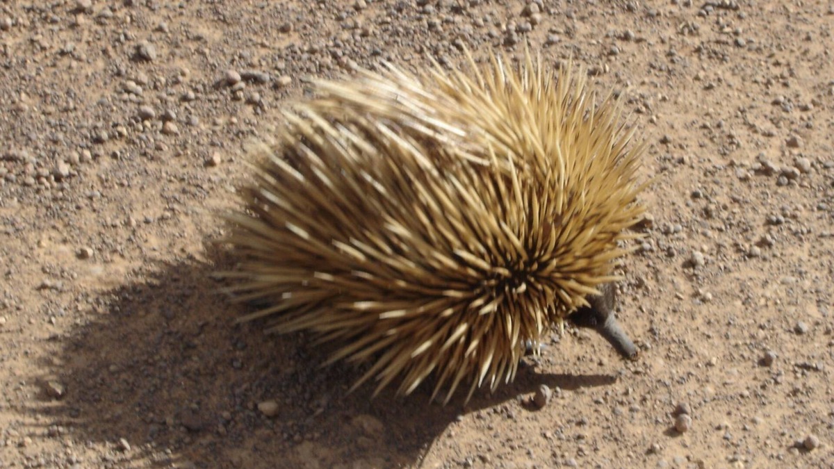 Island Beach House | Haven Beach - Island