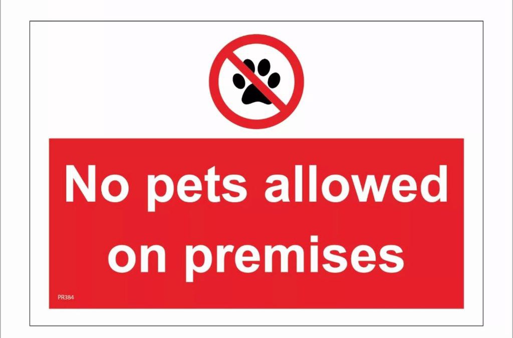 Berwick-upon-Tweed House | Haven Haggerston castle caravan hire