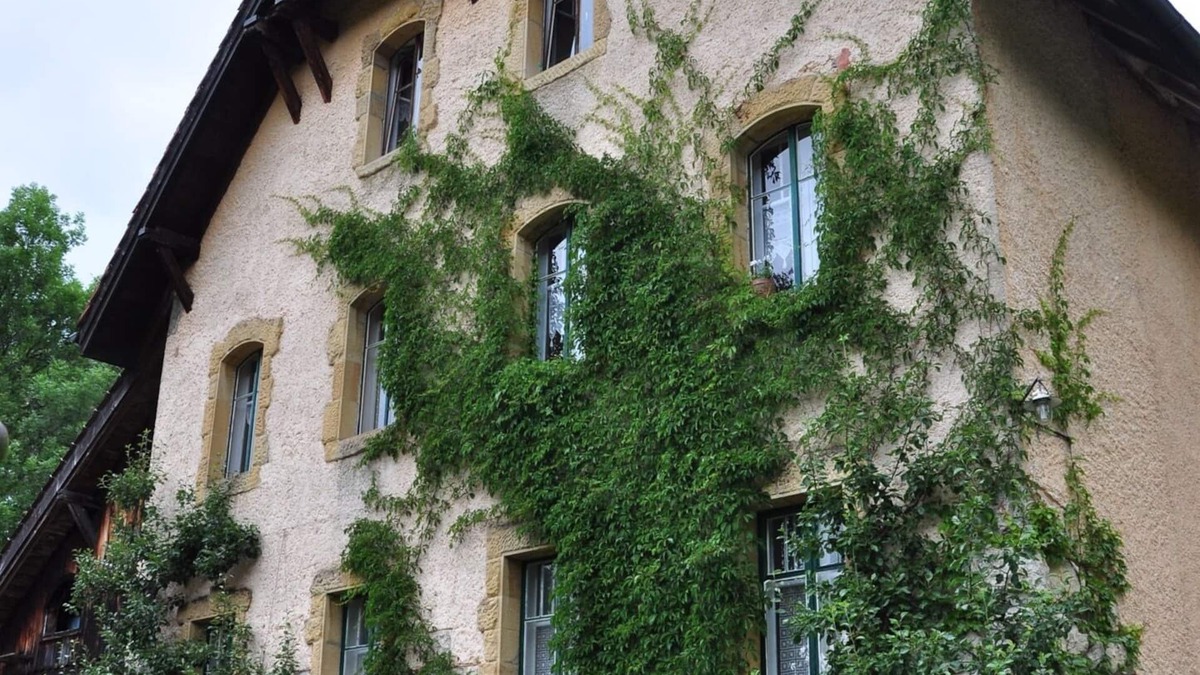 La Ferriere Apartment | Haven of peace in the middle of a park