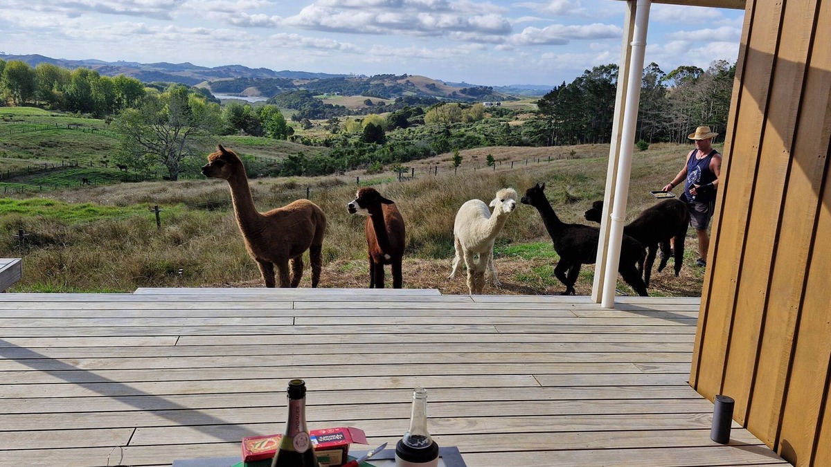 Kaiwaka Cabin | Havenridge Alpaca Glamping Cabins