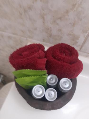 Wonoka Hotel | Hawker Outback Motel