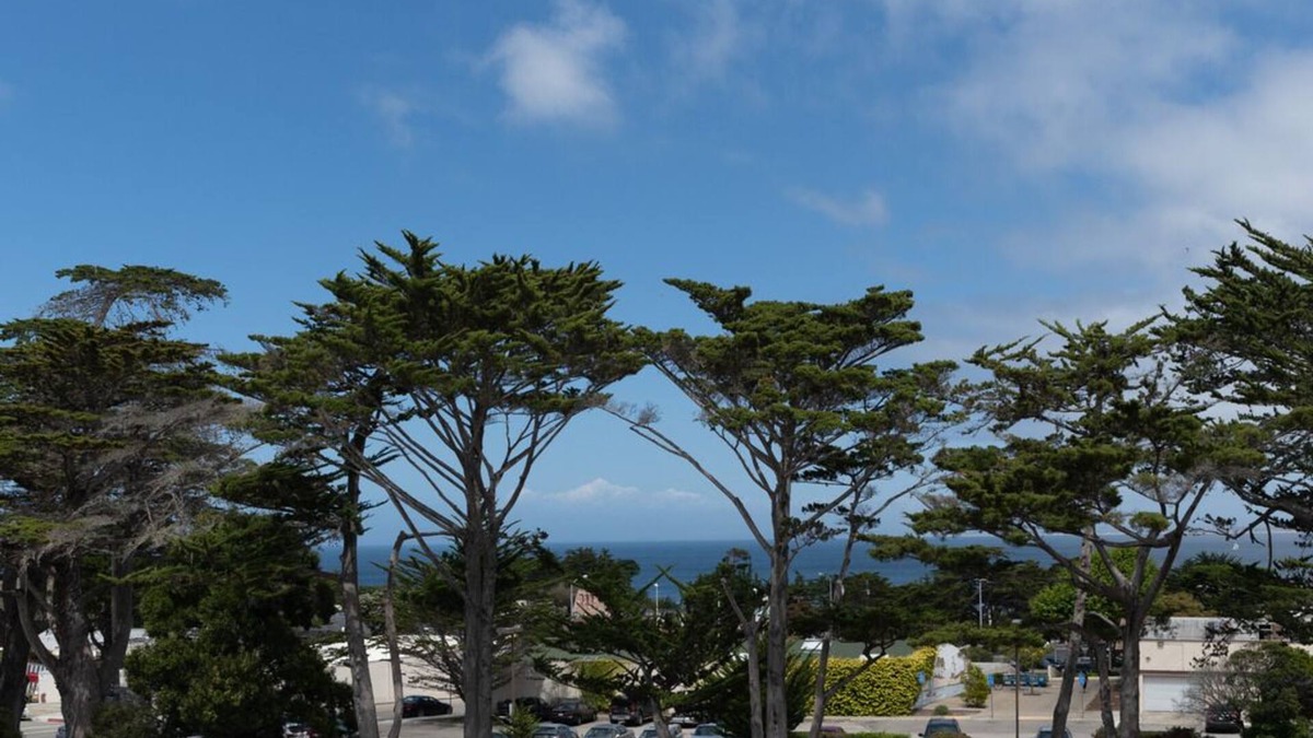 Monterey Condo | Hawthorne 901A - Monterey Condo - Walk to Beach and Aquarium