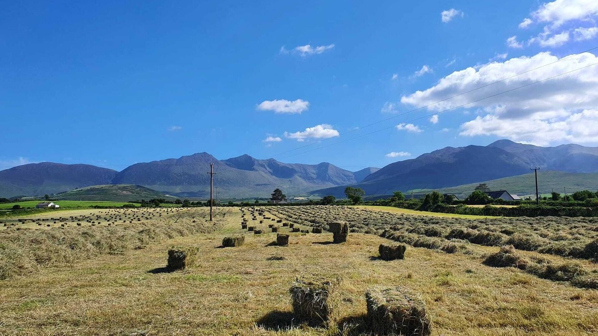 Kilgobnet Cottage | Hayfield View Charming 2-bedroom cottage in beautiful Beaufort, Killarney, WIFI