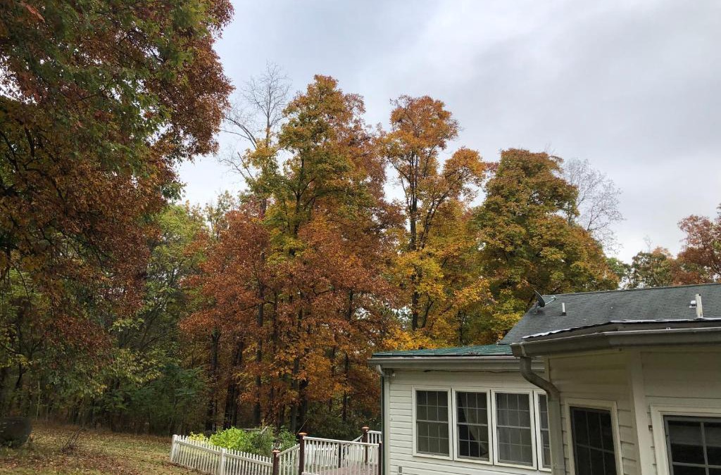 Nokesville House | heather house