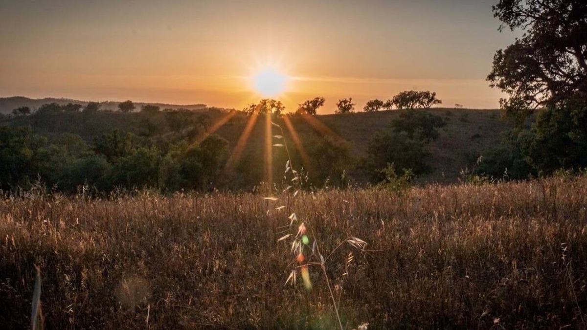 Odemira Cottage | Herdade da Maceira