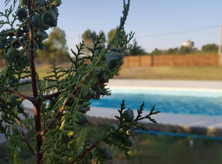 Pigue Apartment | Hermoso alojamiento temporario LA SOÑADA