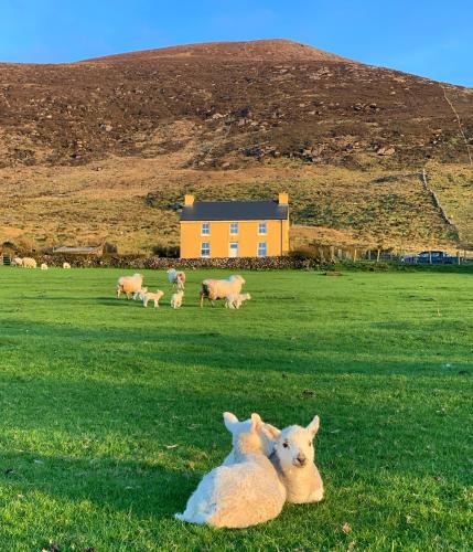 Ring of Kerry House | Hidden Hills Waterville - Private Farmhouse