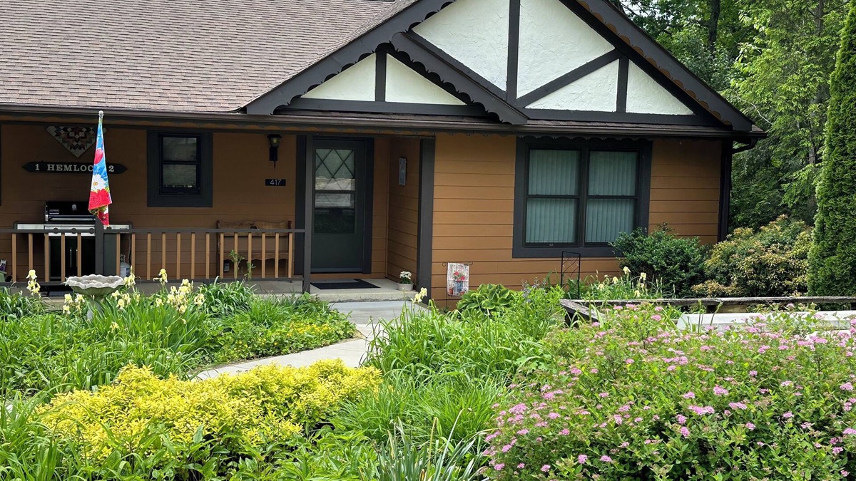 Burnsville Cabin | Hidden Mountain Gem with Fantastic Views!
