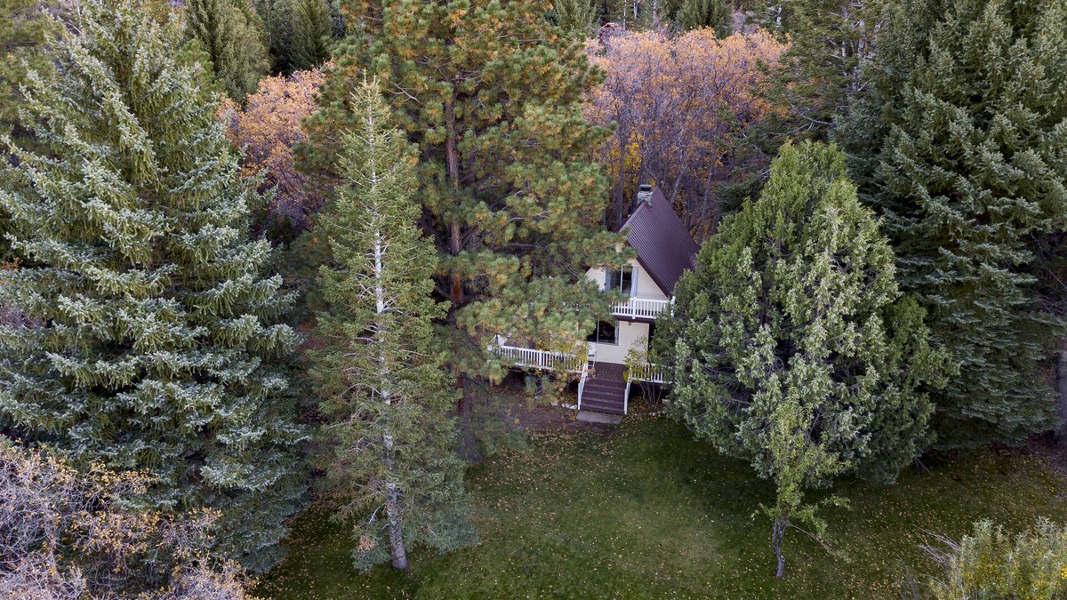 Pine Valley House | Hidden Pines Secluded Cabin on 3 Acres With Creek No Pets