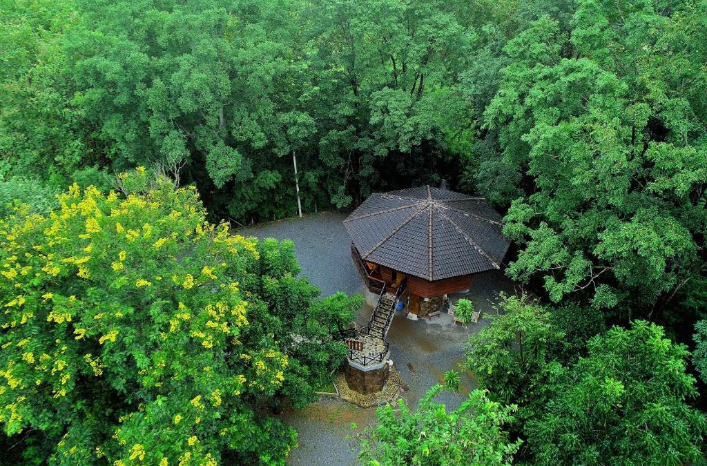 Nong Nam Daeng House | Hidden Treehouse in Khao Yai (8 PAX)