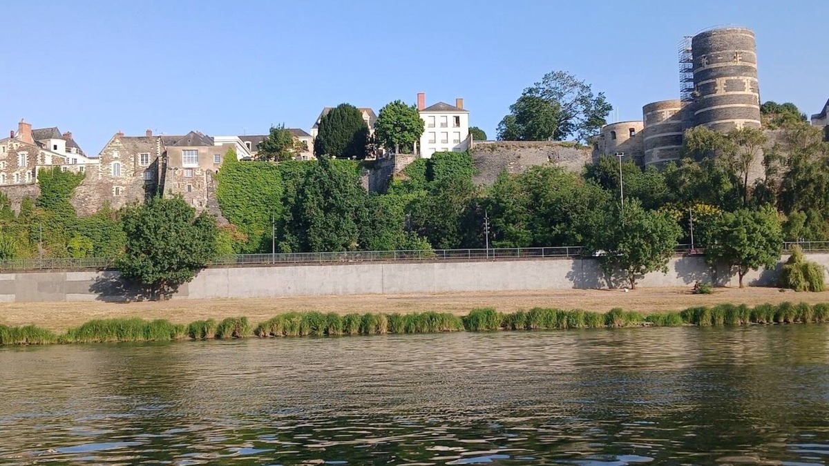 Downtown Angers Apartment | Highly sought-after neighborhood. T2 with parking.