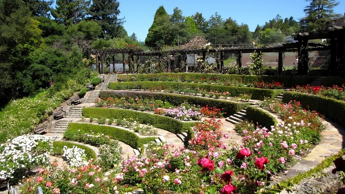 Pleasant Hill Hotel | Hiking at Ridgeview Open Space! 3 Pet-friendly Units w/Self Parking & Starbucks