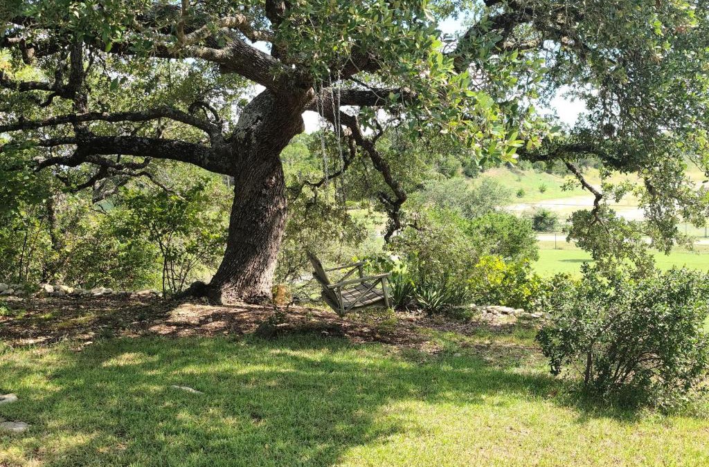 Spring Branch House | Hill Country Haute n Haus Relax and Renew