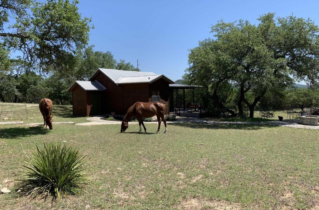 Pipe Creek House | Hill Country Hideout