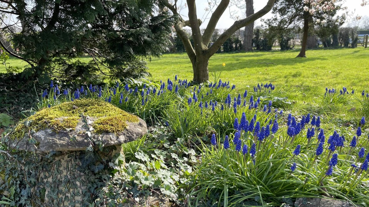 Oxford Bed & Breakfast | Hill Farm