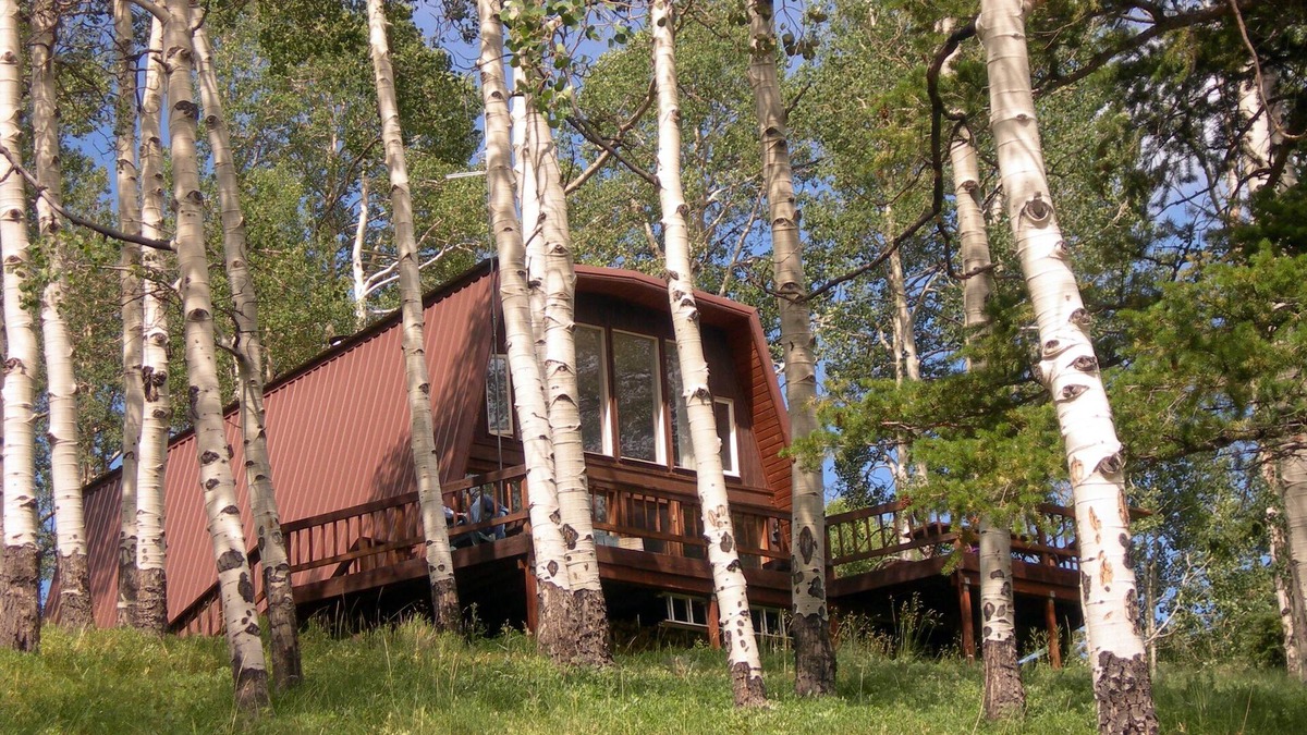 Cimarron Cabin | Hillside Cabin with Panorama Views of the San Juans