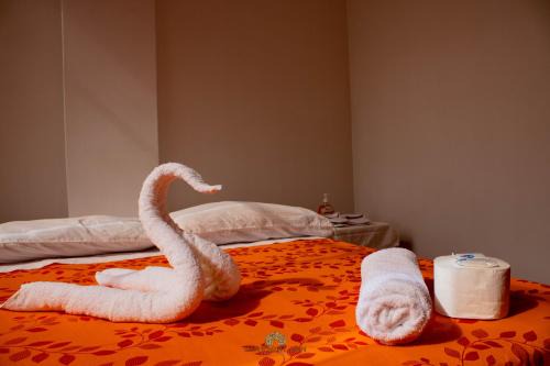 Pillcopata Hotel | Hinkiori Inn - Hotel Manu