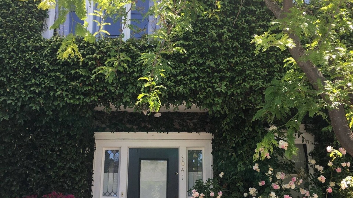 Elmwood House | Historic Edwardian 9 blocks to UC Berkeley Campus! 2 blocks to College Ave!