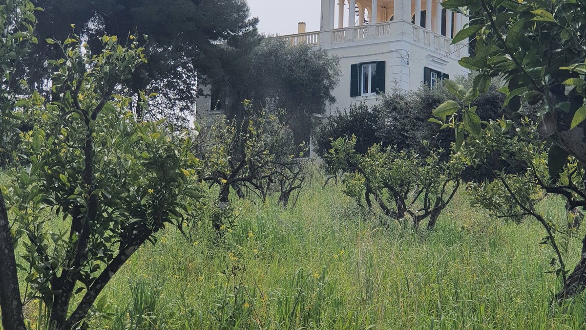 Rodi Garganico Villa | Historic villa immersed in the nature of the Gargano National Park