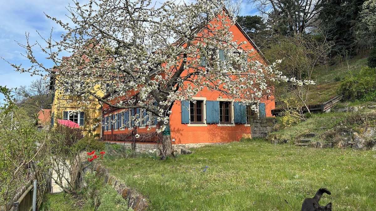 Loschwitz House | Historic Vineyard House near the Elbe River