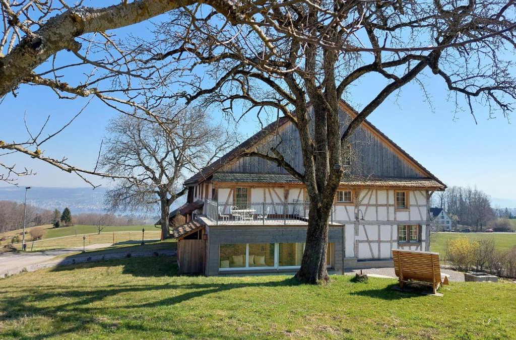 Horgen District House | Historisches Doppel - Riegelbauernhaus