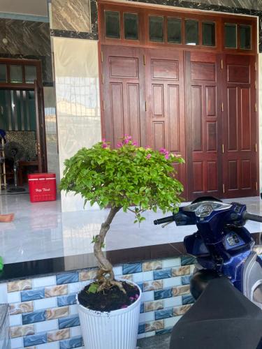 Dat Do House | Hiwinwin