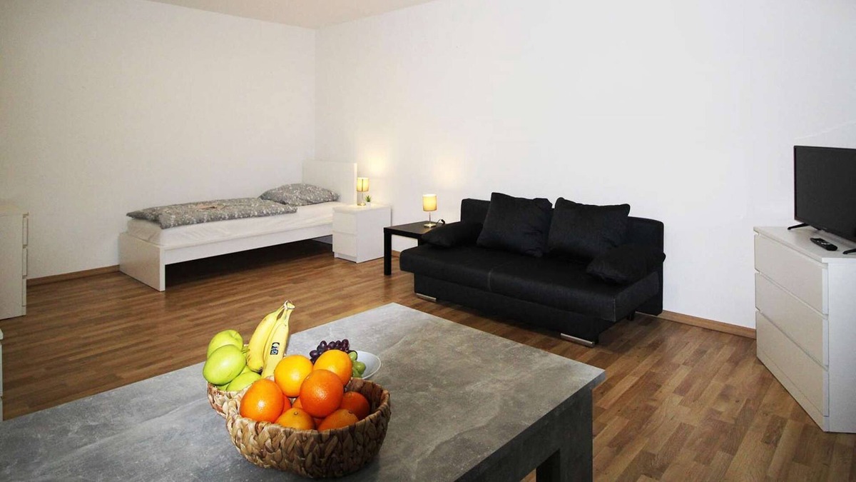 Burgeresch Apartment | HÖ01 large apartment with dryer and washing machine