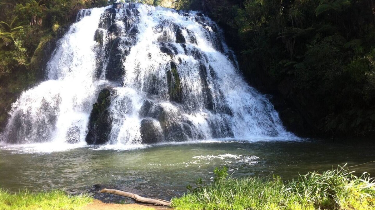 Waikino Cabin | Hobbit tree house in Waikino.