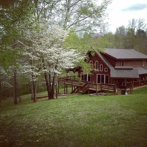 Alpine House | Hodge Podge Lodge