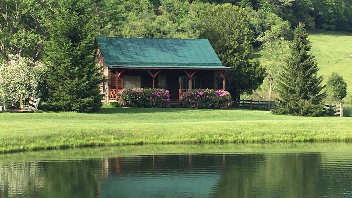 Burks Fork House | Hog Mt Retreat - a cozy oasis, by Buffalo Mountain Getaway