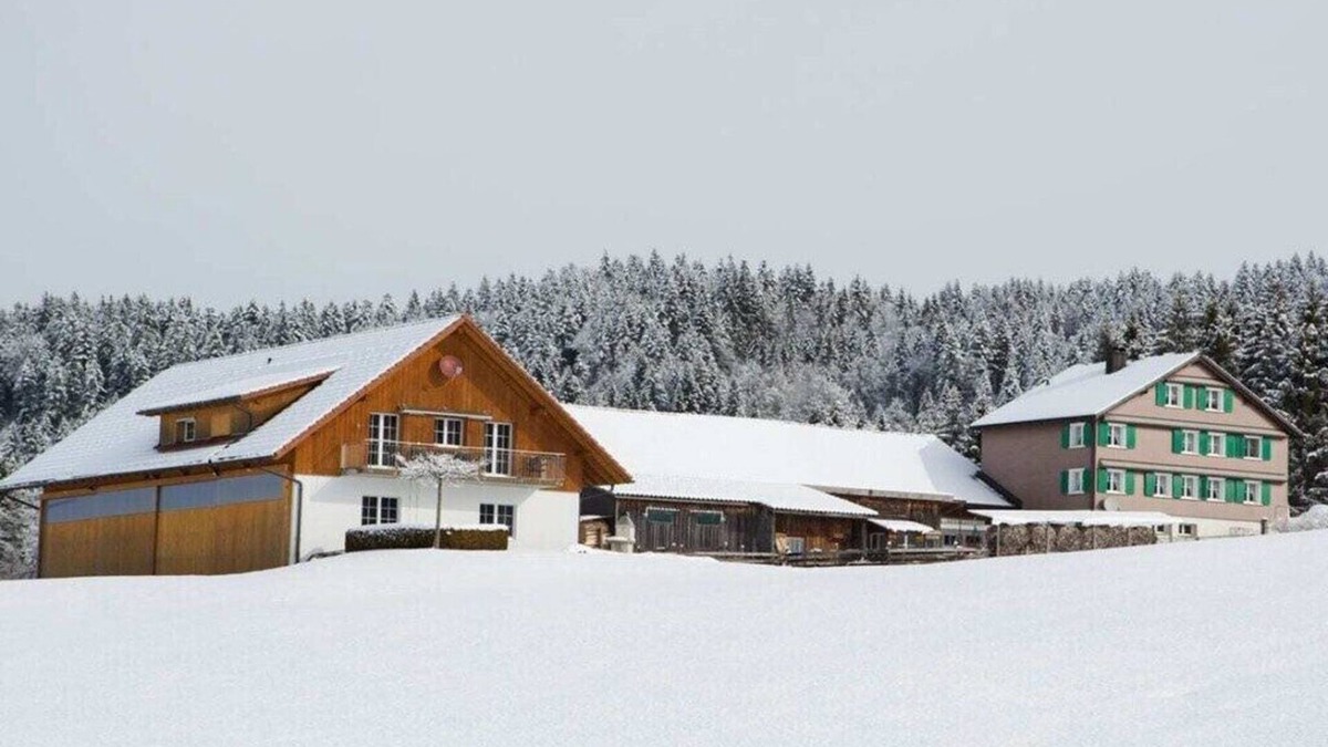 Gross House | Holiday farm by the lake