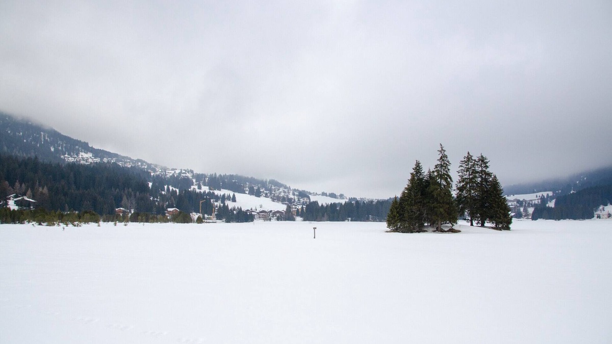 Lenz Apartment | Holiday accommodation Bergzauber Lumora for 5 persons Lantsch-Lenzerheide