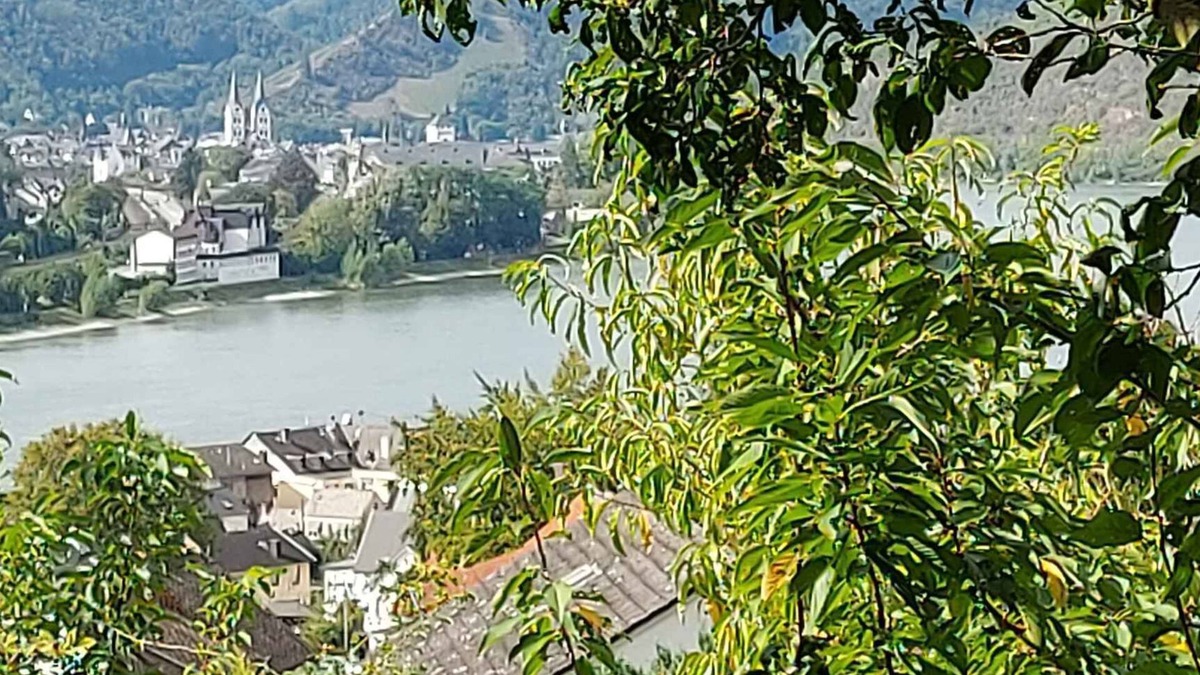 Kamp-Bornhofen Apartment | Holiday apartment with garden, terrace and barbecue