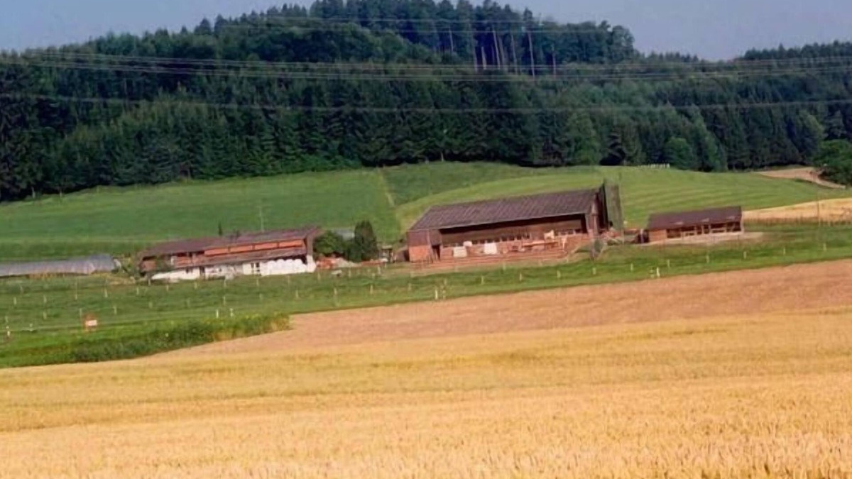 Dietikon District Apartment | Holiday apartment Aesch ZH for 1 - 11 persons with 4 bedrooms - Holiday apartment