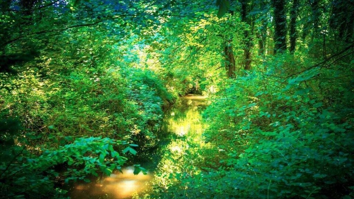 Brakel House | Holiday apartment at the castle park