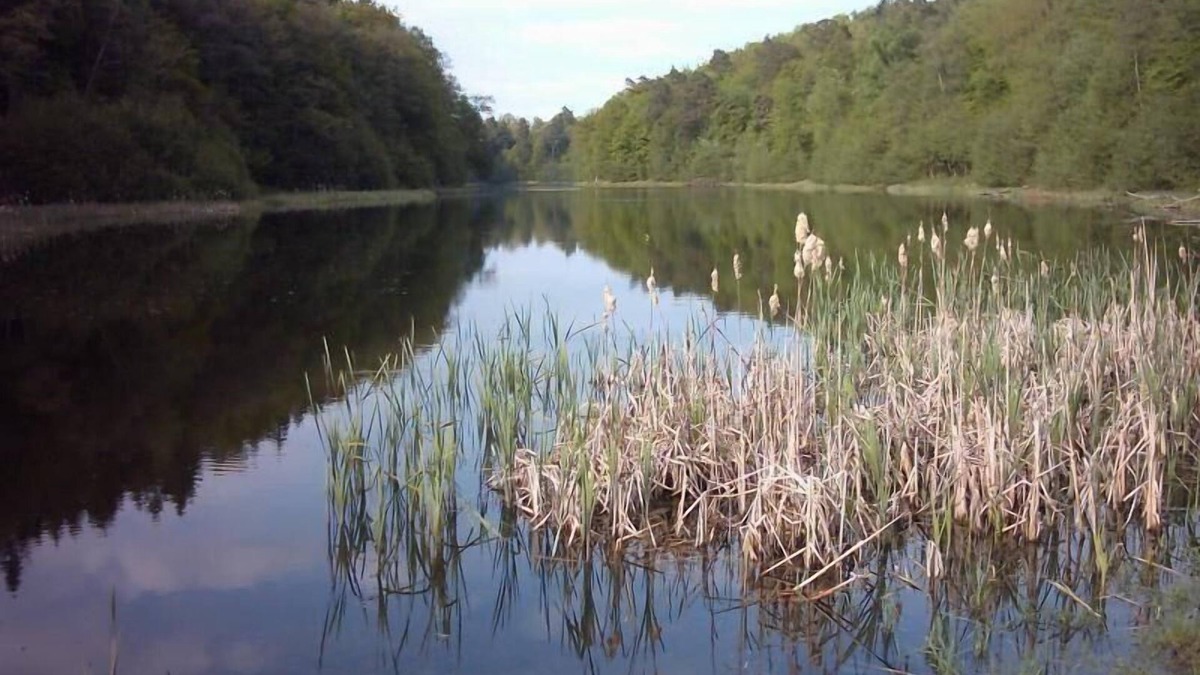 Leuenberg Apartment | Holiday apartment Bad Freienwalde for 1 - 2 persons with 1 bedroom - Holiday apartment