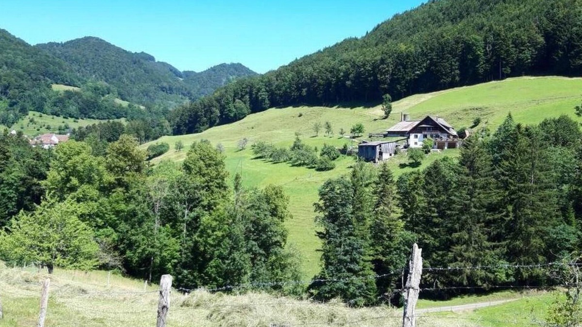 Beinwil Apartment | Holiday apartment Beinwil SO for 5 persons with 2 bedrooms - Holiday apartment in a farmhouse