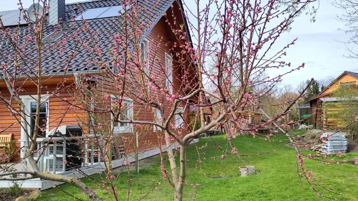 Muncheberg Apartment | Holiday apartment in the wooden house