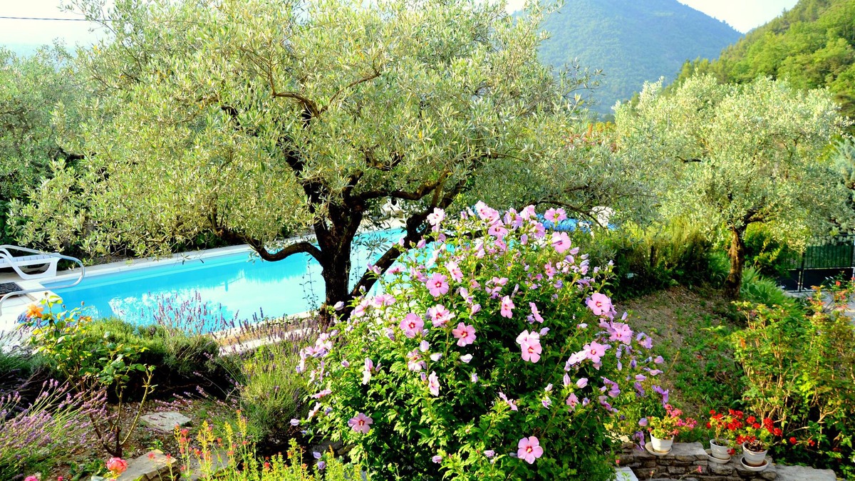 Aubres Apartment | Holiday apartment in the hills behind Nyons f 2 Pers., Pool, with beautiful view