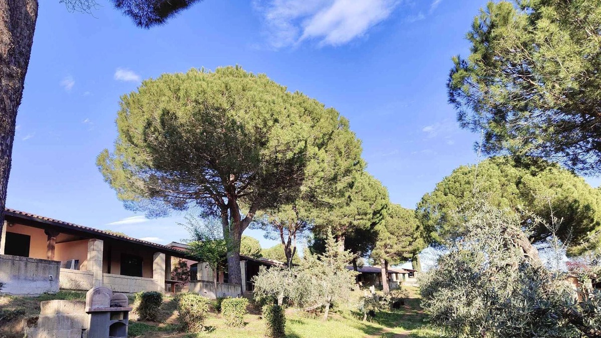Guardistallo Apartment | Holiday apartment mit Pool