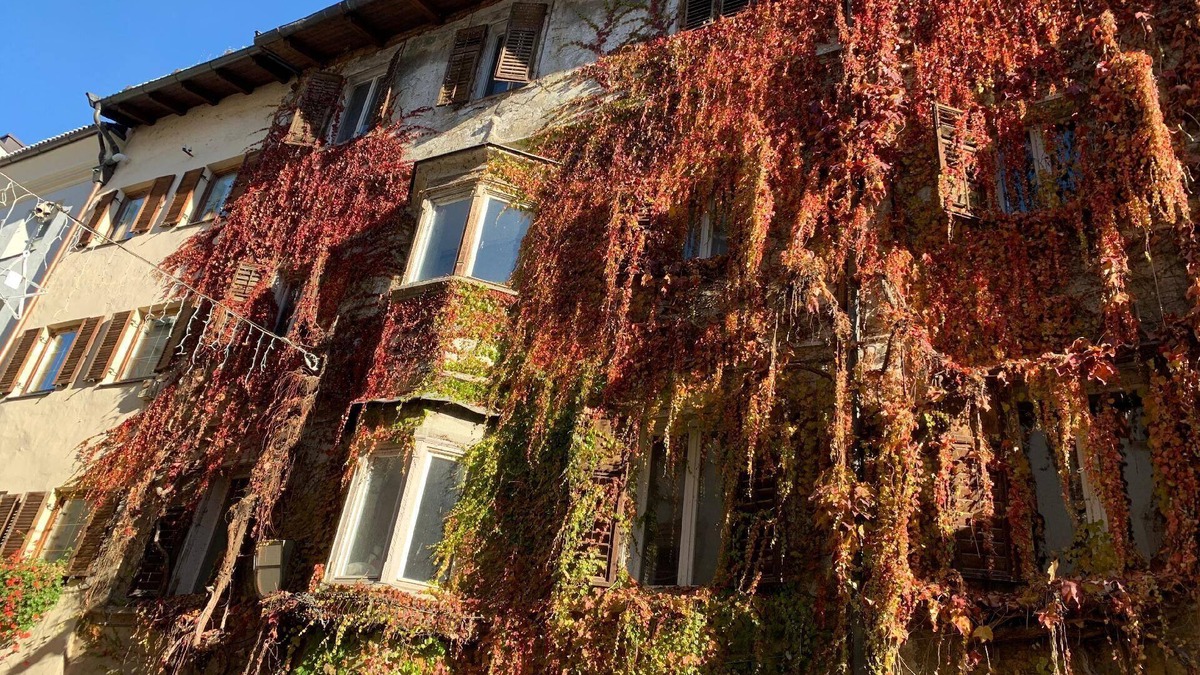 Sant'Andrea in Monte Apartment | Holiday apartment St. Leonhard for 1 - 6 persons with 2 bedrooms - Holiday apartment