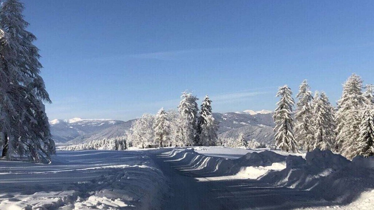 Sankt Urban House | Holiday apartment with 3 bedrooms