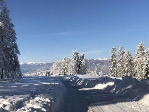 Sankt Urban House | Holiday apartment with 3 bedrooms