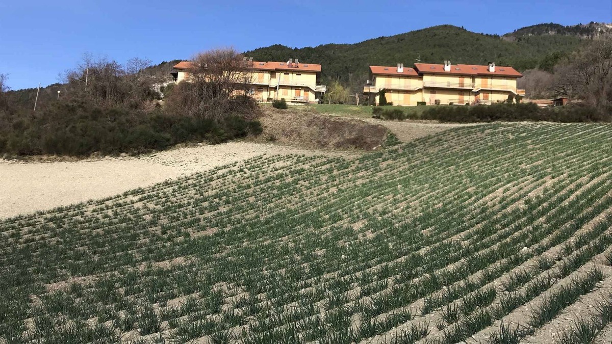 Carpegna Apartment | Holiday apartment "with panorama"