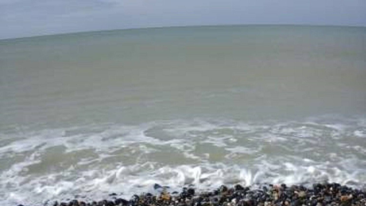 Criel-sur-Mer House | Holiday cottage with sea views