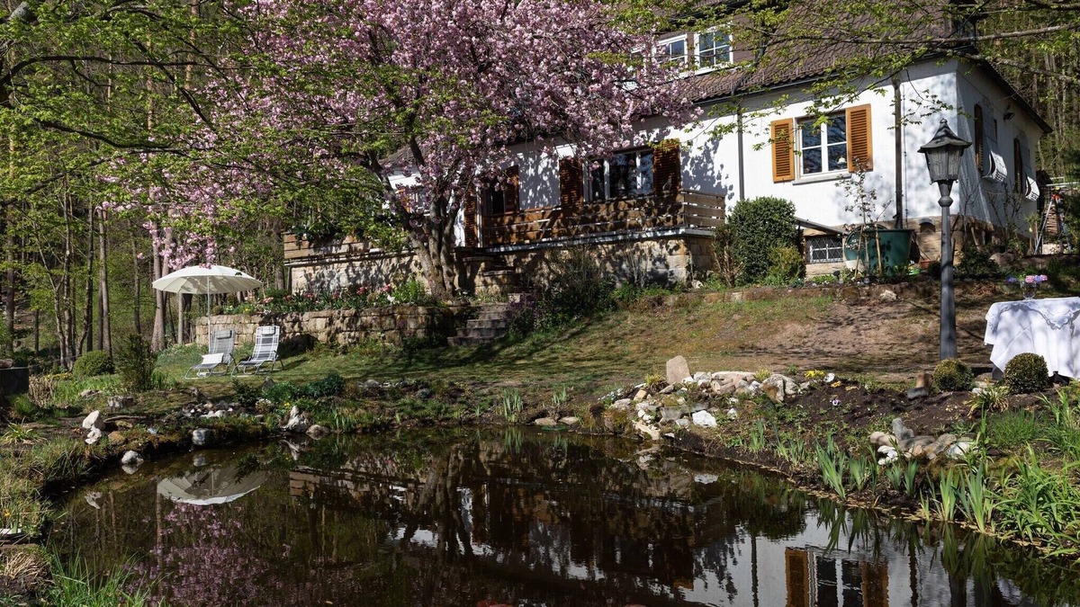 Weissenbrunn Apartment | Holiday flat in Upper Franconia with garden