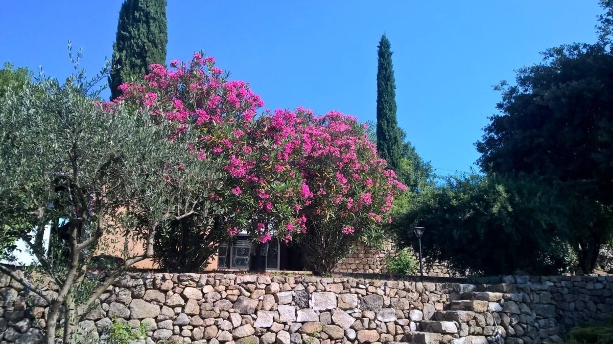 Joyeuse Apartment | Holiday Gite in Southern Ardeche