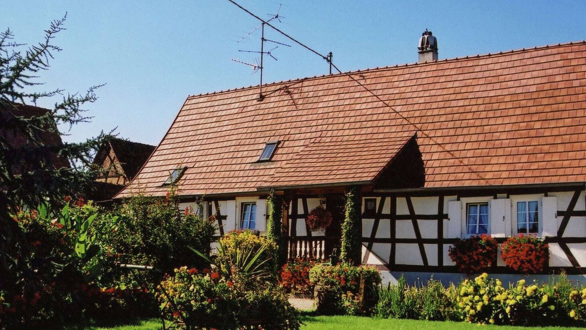 Schleithal House | Holiday Home Alsace near Vosges Nature Park