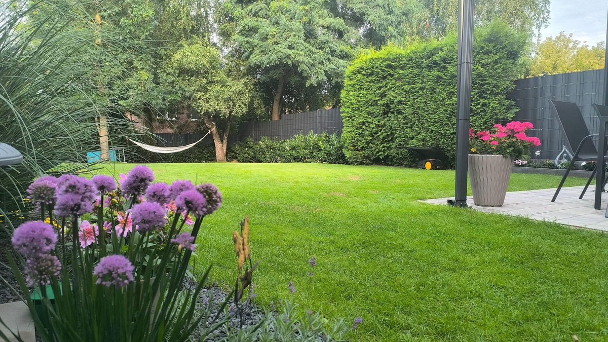 Bad Fallingbostel House | Holiday home Ferienhaus Heide